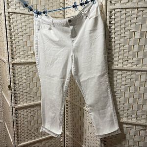 Jeans by d jeans size 20W